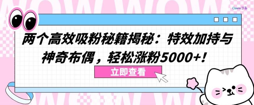 两个高效吸粉秘籍揭秘：特效加持与神奇布偶，轻松涨粉5000+【揭秘】-徐小晨博客