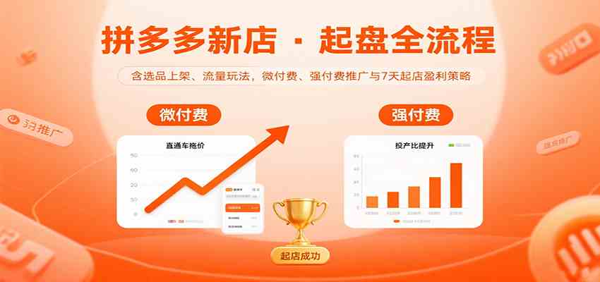 拼多多新店起盘全流程，含选品上架、流量玩法，微付费、强付费推广与7天起店盈利策略-徐小晨博客