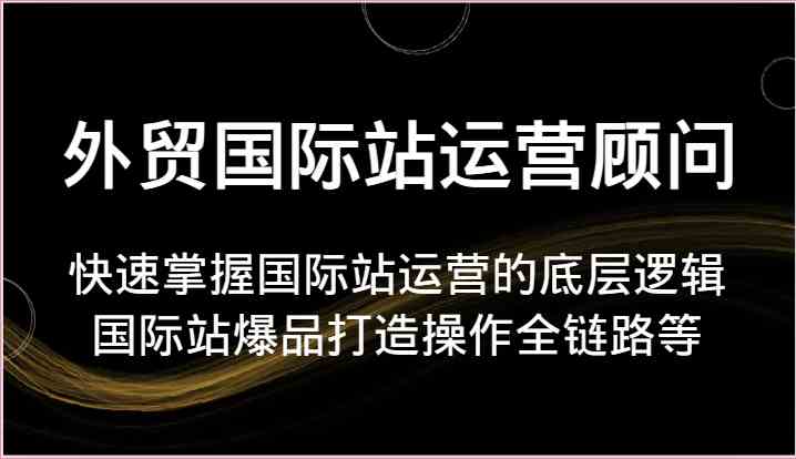 外贸国际站运营顾问-快速掌握国际站运营的底层逻辑，国际站爆品打造操作全链路等-徐小晨博客
