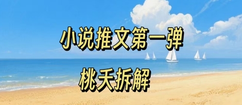 小说推文项目操作全流程第一弹，0粉就能做，门槛低非常适合新手-徐小晨博客