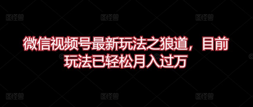 微信视频号最新玩法之狼道，目前玩法已轻松月入过万【揭秘】-徐小晨博客