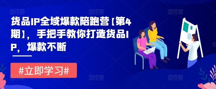 货品IP全域爆款陪跑营【第4期】，手把手教你打造货品IP，爆款不断-徐小晨博客