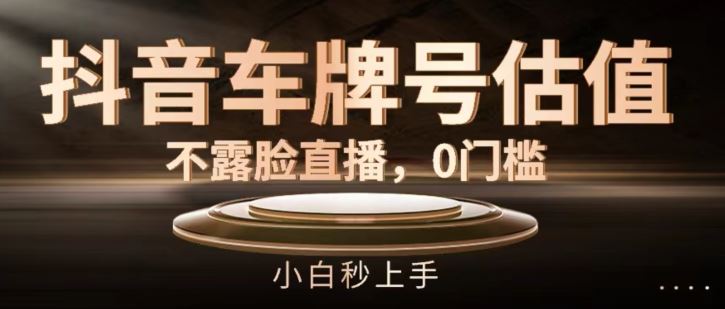 抖音车牌号估值，不露脸直播，0门槛，小白秒上手【揭秘】-徐小晨博客