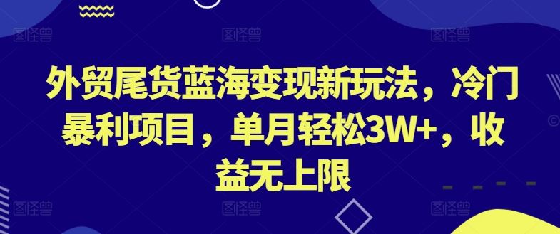 外贸尾货蓝海变现新玩法，冷门暴利项目，单月轻松3W+，收益无上限【揭秘】-徐小晨博客