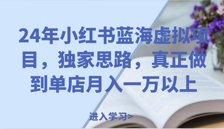 24年小红书蓝海虚拟项目，独家思路，真正做到单店月入一万以上。-徐小晨博客