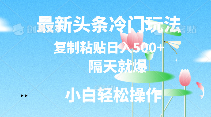最新头条冷门玩法，隔天就爆，复制粘贴日入500+-徐小晨博客