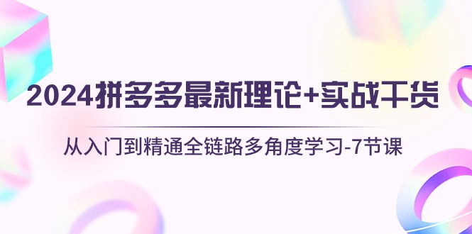 2024拼多多 最新理论+实战干货，从入门到精通全链路多角度学习-7节课-徐小晨博客