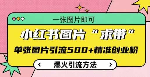 小红书图片‘求带’爆火引流法，单张图片引流500+精准创业粉【揭秘】-徐小晨博客