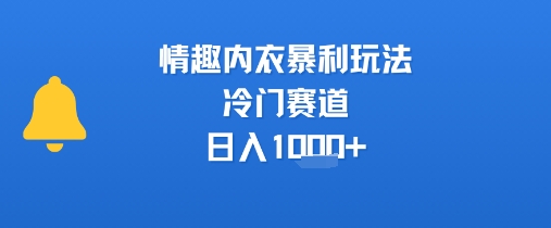 情趣内衣暴利玩法，冷门赛道，日入1k+-徐小晨博客