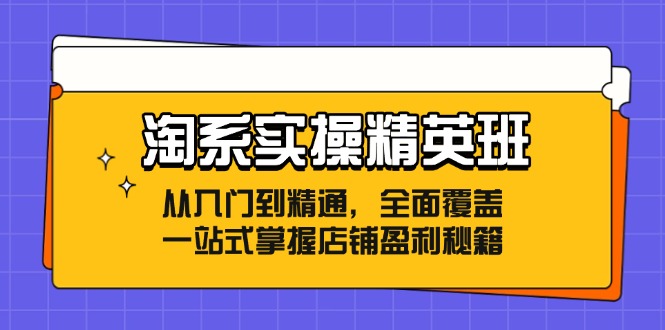 淘系实操精英班：从入门到精通，全面覆盖，一站式掌握店铺盈利秘籍-徐小晨博客