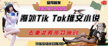 海外tiktok小说推文暴力项目，高停留率，高转化率，上手后一天搞顿饭钱不是问题-徐小晨博客