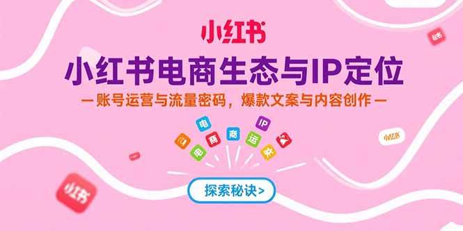 小红书电商生态与IP定位，账号运营与流量密码，爆款文案与内容创作-徐小晨博客
