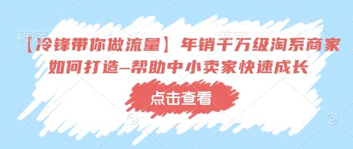 【冷锋带你做流量】年销千万级淘系商家如何打造–帮助中小卖家快速成长-徐小晨博客