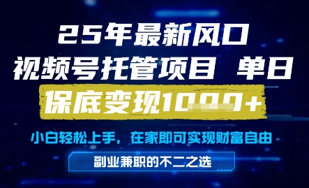 25年最新风口，视频号托管项目，单日保底变现1k+，手把手教学【揭秘】-徐小晨博客