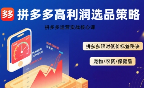 拼多多选品暴利技术实战课，拼多多高利润选品策略，拼多多限时低价标签秘诀-徐小晨博客
