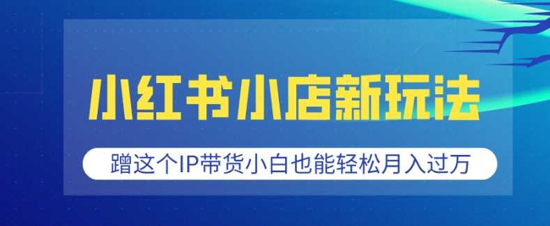 小红书小店新玩法，蹭这个IP带货，小白也能轻松月入过W【揭秘】-徐小晨博客