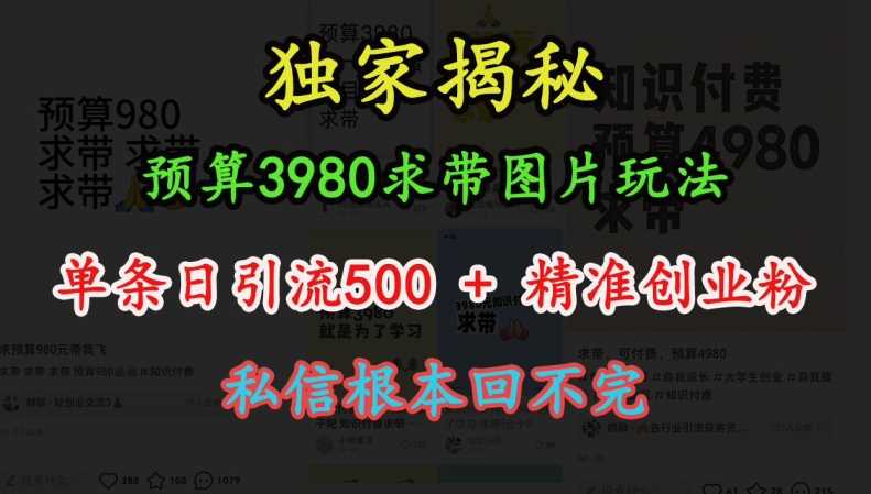 预算3980求带 图片玩法，单条日引流500+精准创业粉，私信根本回不完-徐小晨博客