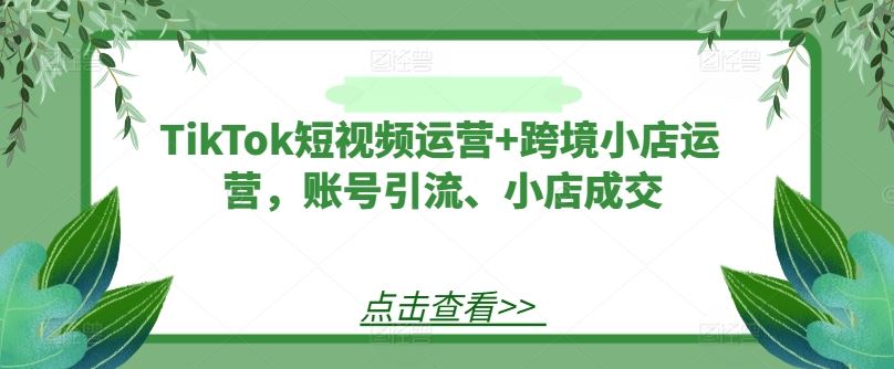 TikTok短视频运营+跨境小店运营，账号引流、小店成交-徐小晨博客