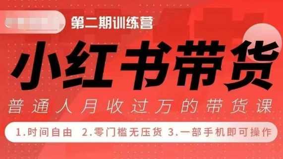 小Red书带货42天训练营 2.0版，宝妈+自由职+上班族+大学生，提高副业收入的大红利项目-徐小晨博客