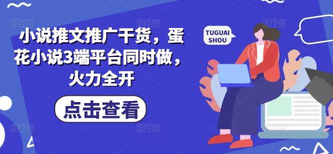 小说推文推广干货，蛋花小说3端平台同时做，火力全开-徐小晨博客
