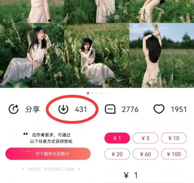 最新图虫搬运项目，收益无上限，利用AI小白也可日赚500+-徐小晨博客