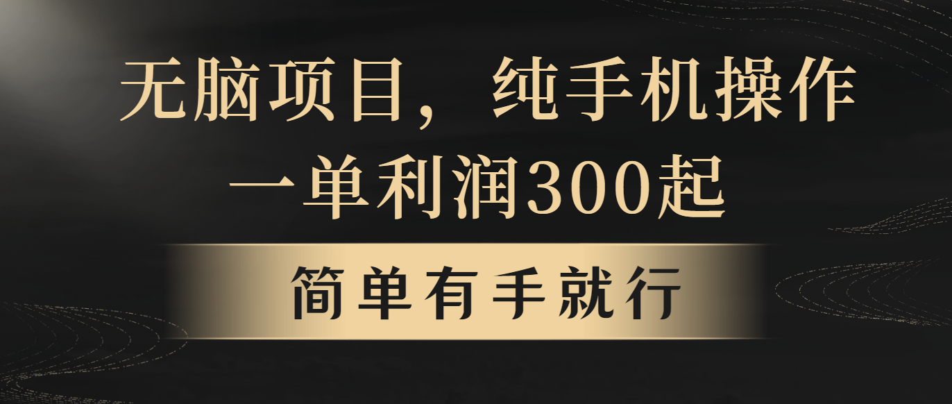无脑项目，一单几百块，轻松月入5w+，看完就能直接操作-徐小晨博客