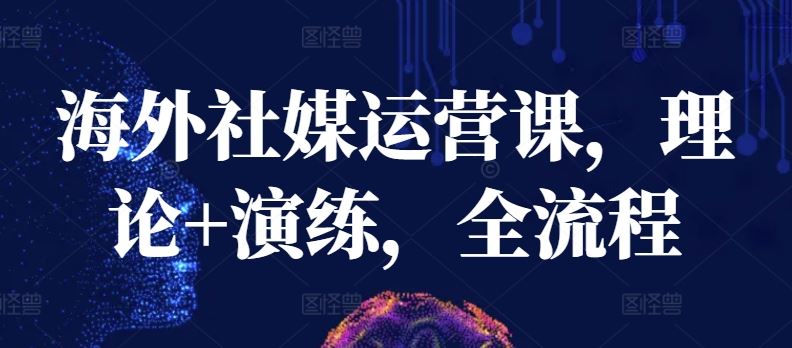 海外社媒运营课，理论+演练，全流程-徐小晨博客