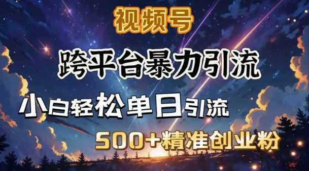 跨平台暴力引流，私域完美闭环，日引500+精准创业粉-徐小晨博客