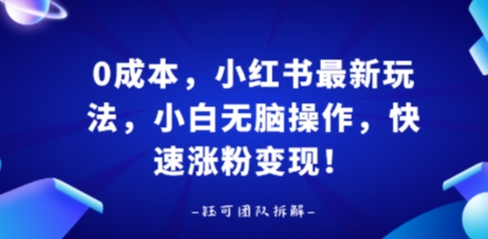 0成本，小红书最新玩法，小白无脑操作，快速涨粉变现-徐小晨博客