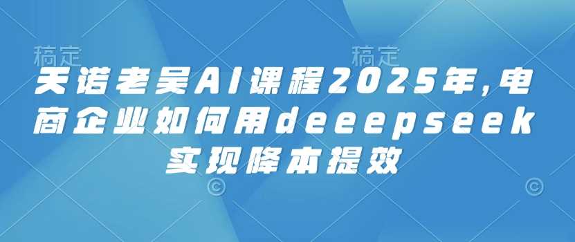 天诺老吴AI课程2025年，电商企业如何用deeepseek实现降本提效-徐小晨博客
