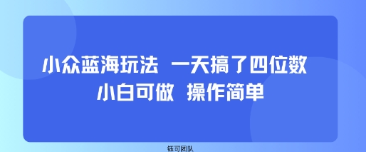 小众蓝海玩法 一天搞了四位数 小白可做 操作简单-徐小晨博客