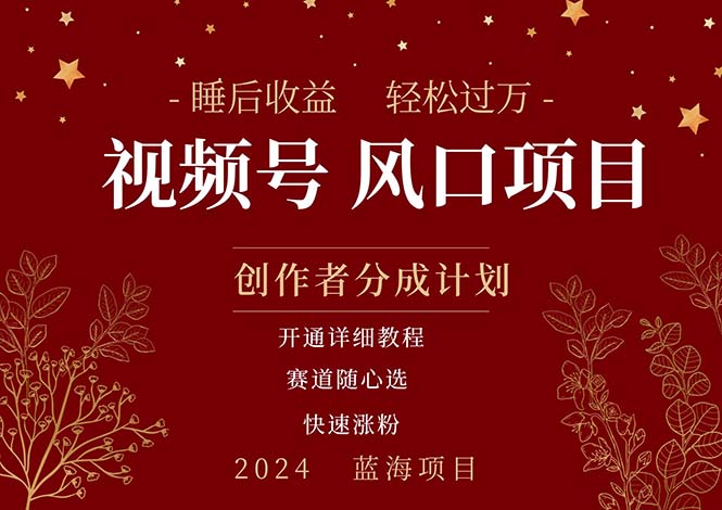 拥有睡眠收益的微信视频号大风口项目，轻松月入过万+，多赛道选择，可…-徐小晨博客