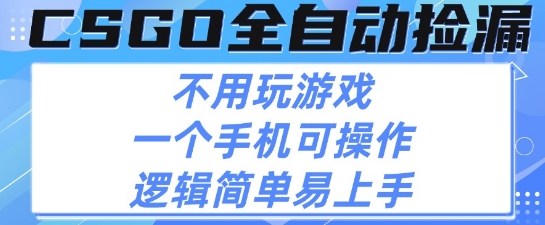 CSGO自动捡漏项目，最新独家玩法，不用挂G不用玩游戏，一个手机即可操作，新手小白轻松月入1W+【揭秘】-徐小晨博客