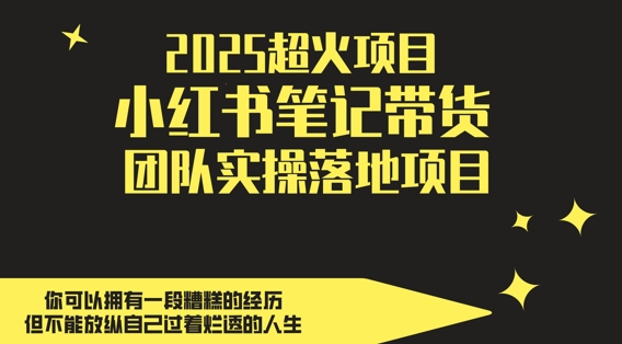 2025超火项目，副业最佳选择，小红书笔记带货团队实操落地项目，，轻松日入5张-徐小晨博客