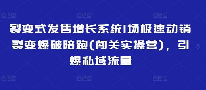 裂变式发售增长系统1场极速动销裂变爆破陪跑(闯关实操营)，引爆私域流量-徐小晨博客