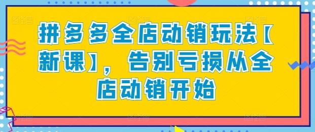 拼多多全店动销玩法【新课】，告别亏损从全店动销开始-徐小晨博客