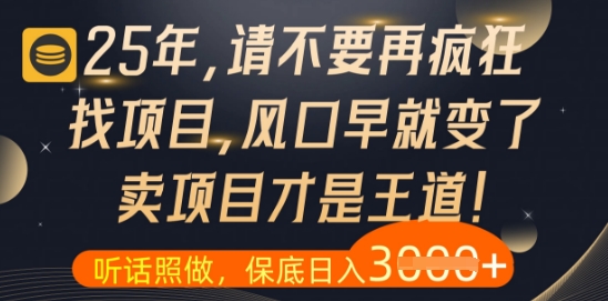 什么？25年你还在疯狂找项目做，醒醒吧，看完这些你全都懂了【揭秘】-徐小晨博客