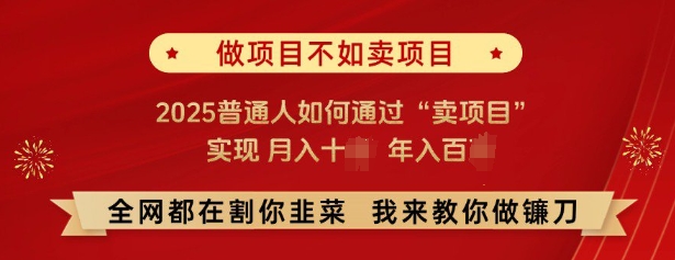 必看，做项目不如卖项目，2025普通人如何通过“卖项目”实现月入十个，年入百个-徐小晨博客