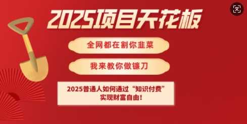 2025项目天花板普通人如何通过知识付费，实现财F自由【揭秘】-徐小晨博客