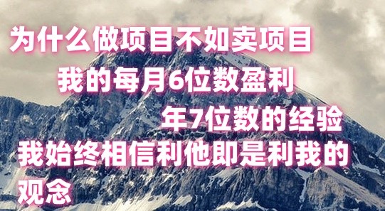做项目不如卖项目，每月6位数盈利，年7位数经验-徐小晨博客