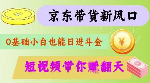 最新京东短视频带货代运营秘籍，轻松躺挣【揭秘】-徐小晨博客