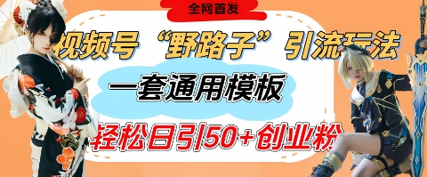 视频号“野路子”玩法，评论区疯狂截流，一套模板单日单号引流50+创业粉-徐小晨博客