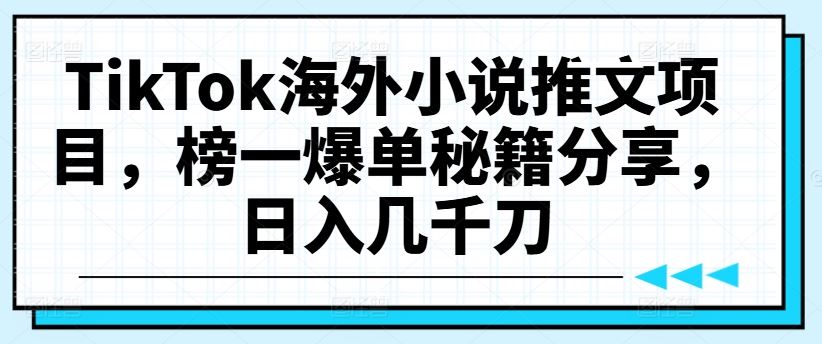 TikTok海外小说推文项目，榜一爆单秘籍分享，日入几千刀-徐小晨博客