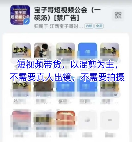 宝子哥头部团队短视频带货，以混剪为主，不需要真人出镜，不需要拍摄【更新6月】-徐小晨博客