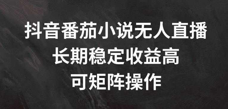 抖音番茄小说无人直播，长期稳定收益高，可矩阵操作【揭秘】-徐小晨博客