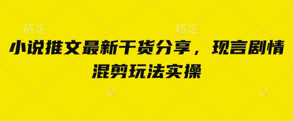 小说推文最新干货分享，现言剧情混剪玩法实操-徐小晨博客