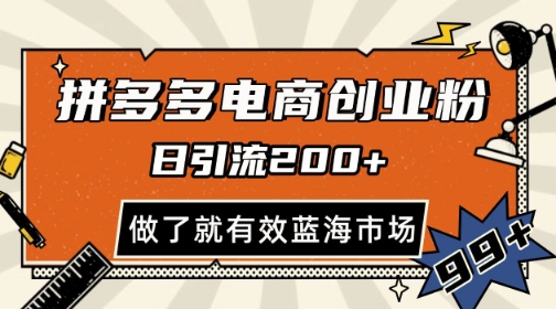 拼多多引流电商创业粉，日引200+，可矩阵放大，做了就有效【揭秘】-徐小晨博客
