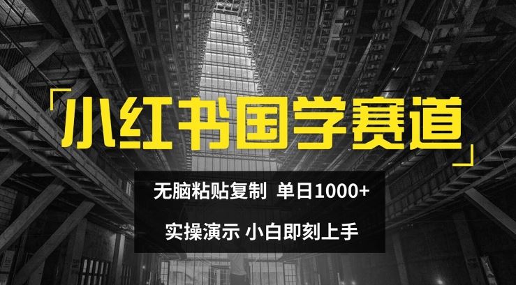 小红书国学赛道，无脑粘贴复制，单日1K，实操演示，小白即刻上手【揭秘】-徐小晨博客