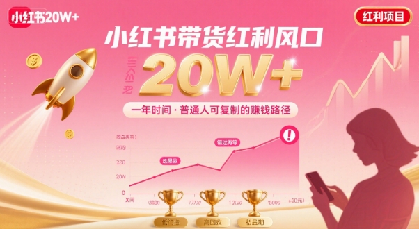 一年时间靠小红书带货项目年入20w+，最不能错的大红利项目-徐小晨博客
