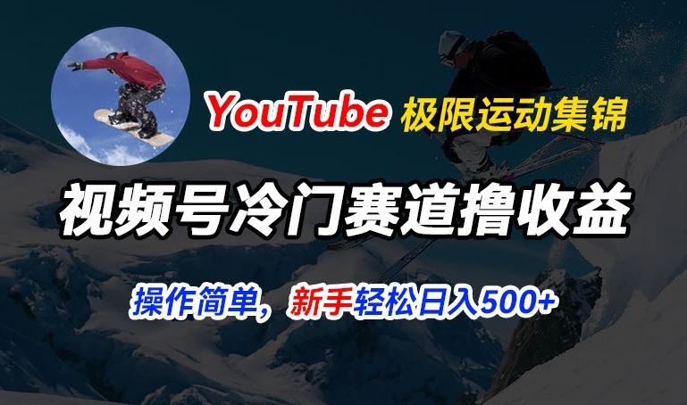 视频号冷门赛道撸收益，YouTube搬运极限运动集锦，暴力起号，操作简单流量高，轻松日入5张【揭秘】-徐小晨博客